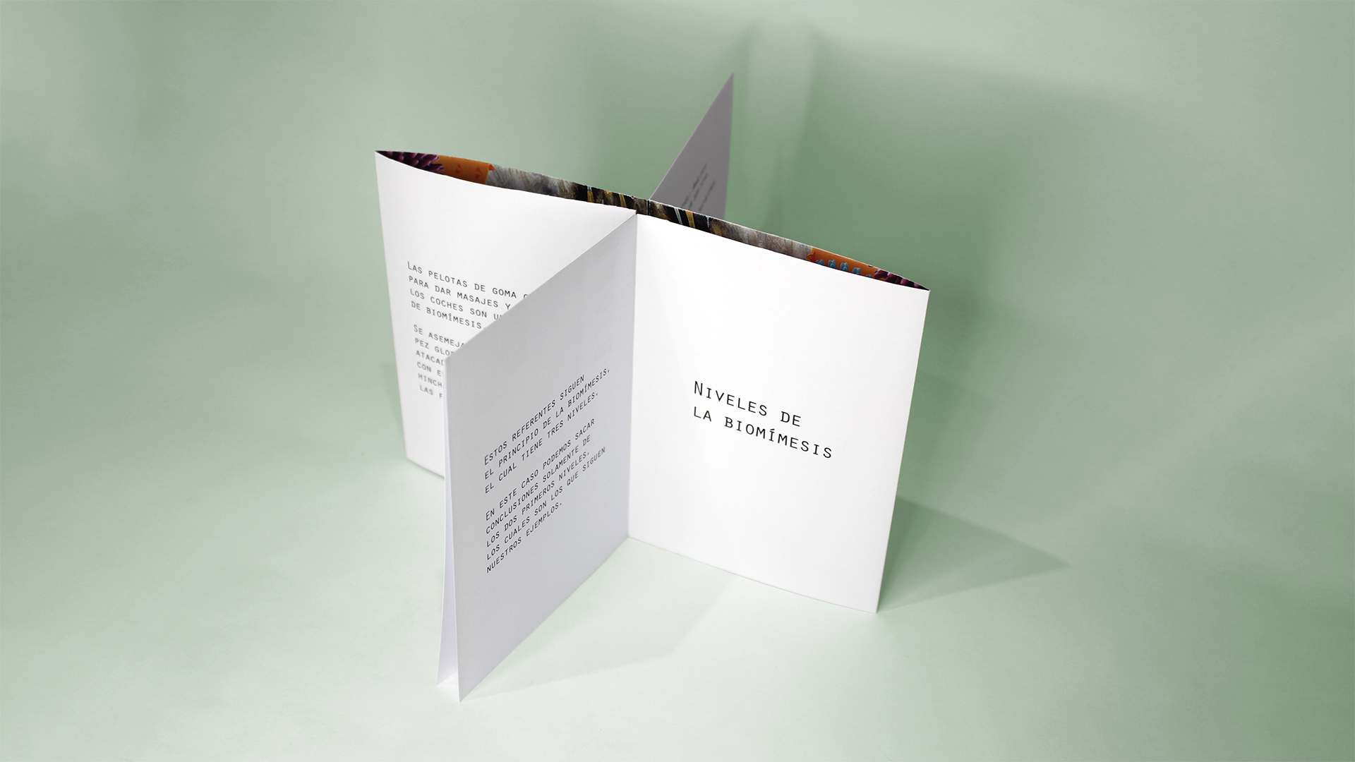 Fotografía del instant book del Proyecto Biomímesis