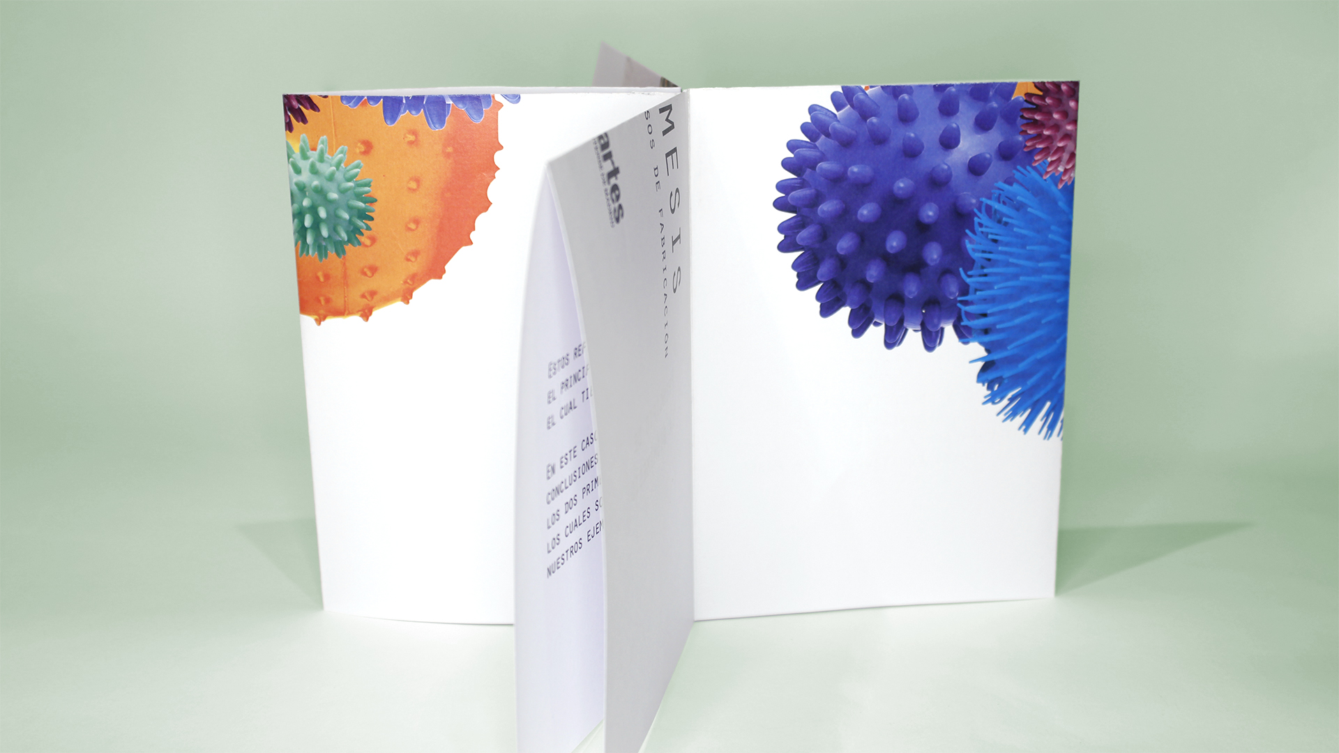 Fotografía del instant book del Proyecto Biomímesis