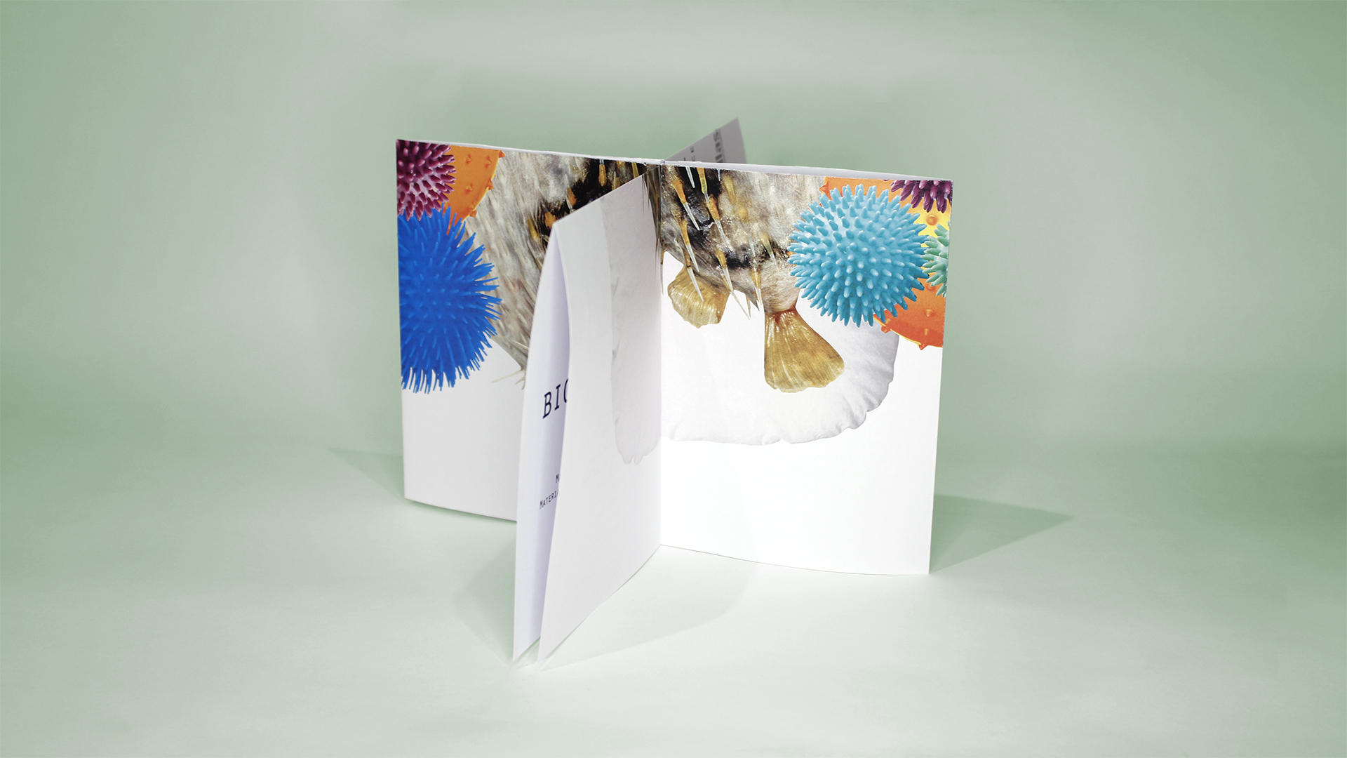 Fotografía del instant book del Proyecto Biomímesis