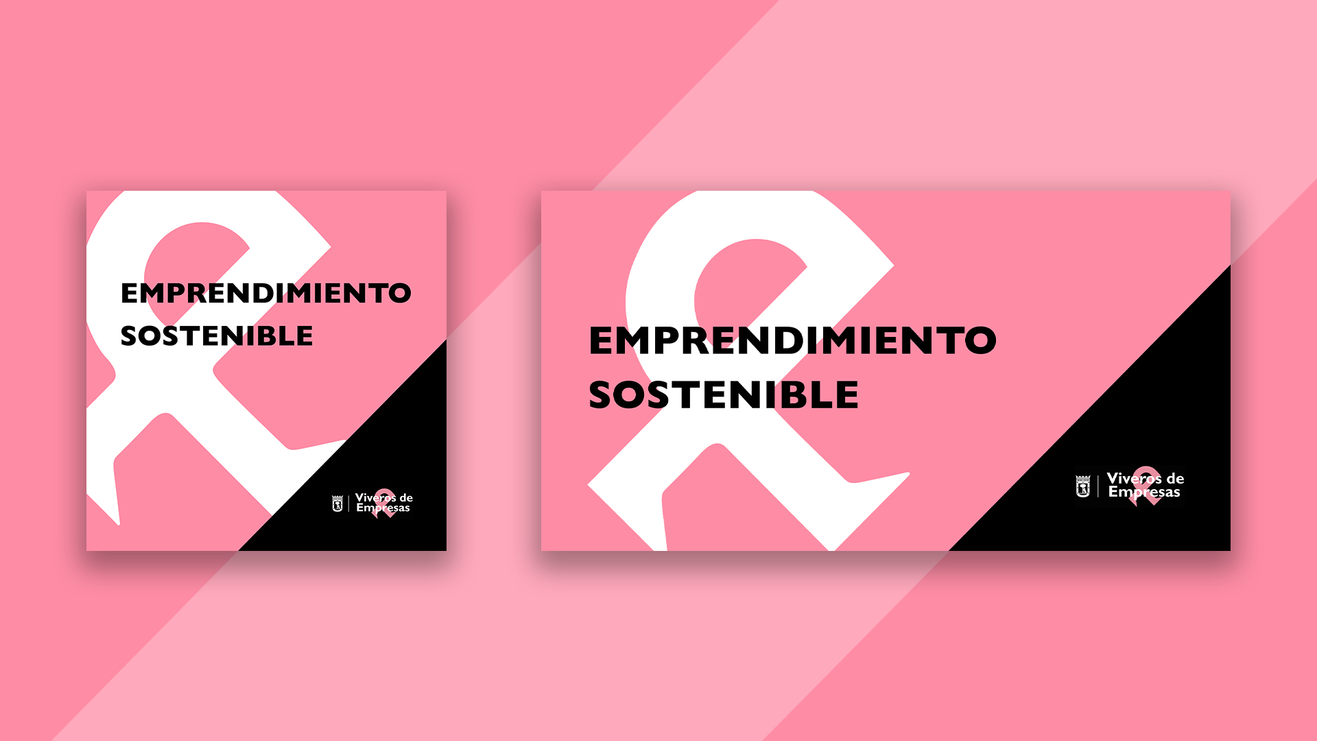 Creatividad informativa para RRSS y web sobre el lanzamiento del curso 'Emprendimiento sostenible'